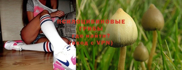 экстази Лиски