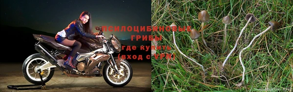 спайс Абдулино